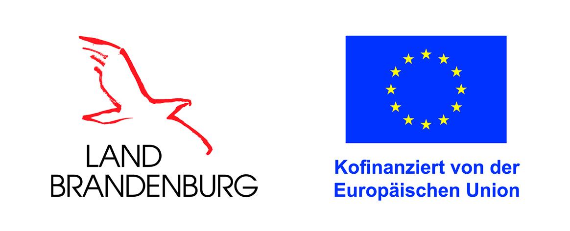 Kombilogo Land-EU
